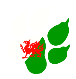 Welsh Paw